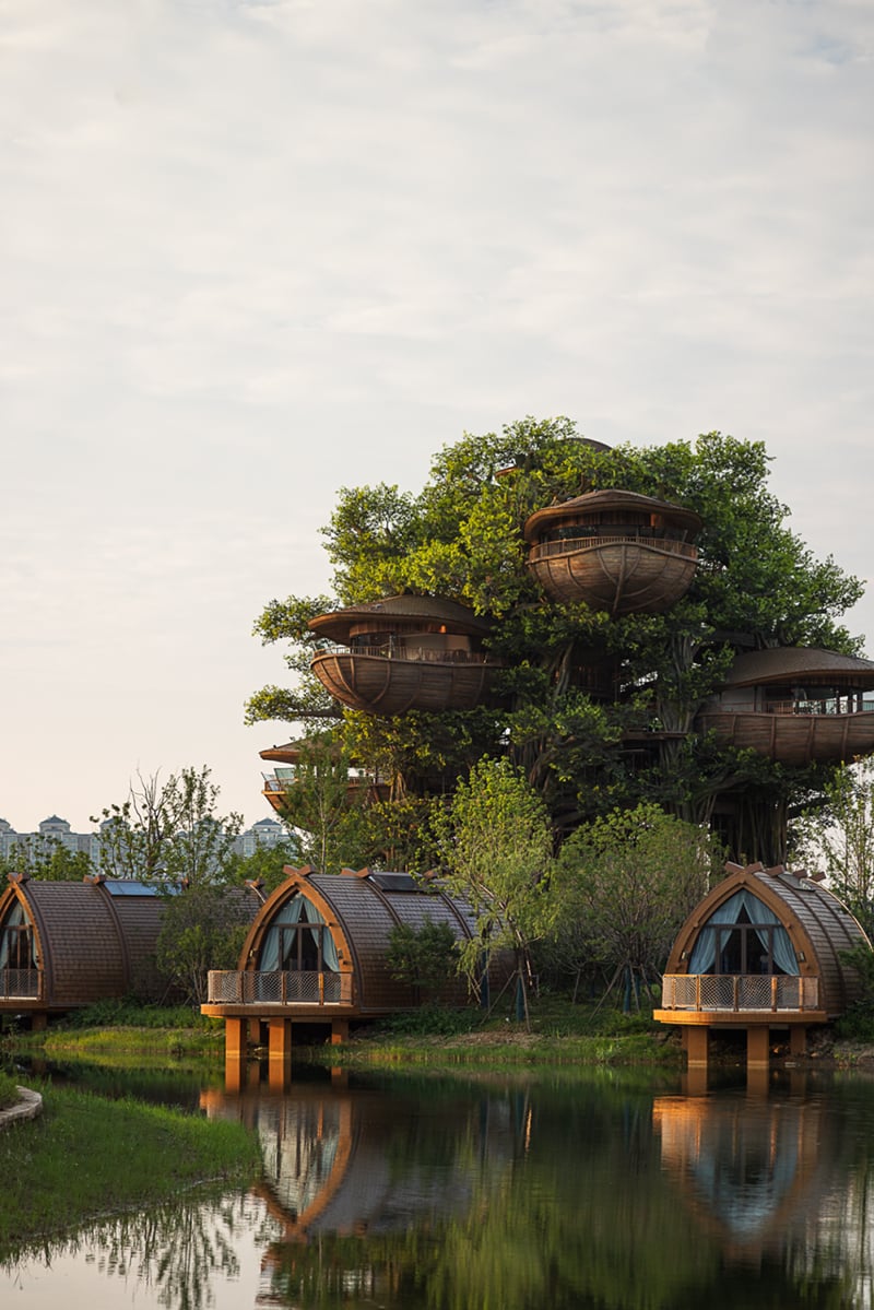 国际认可！武汉城建开元森泊度假乐园斩获2025伦敦设计奖铂金奖